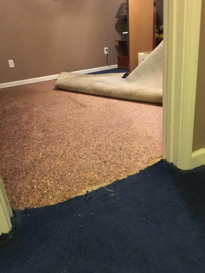 Carpet pad removal revealing water damage during Drying & Dehumidification in Ellenton