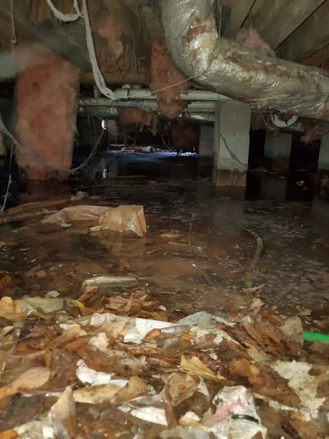 Crawl space flood assessment for Leak Detection & Repair in Ellenton