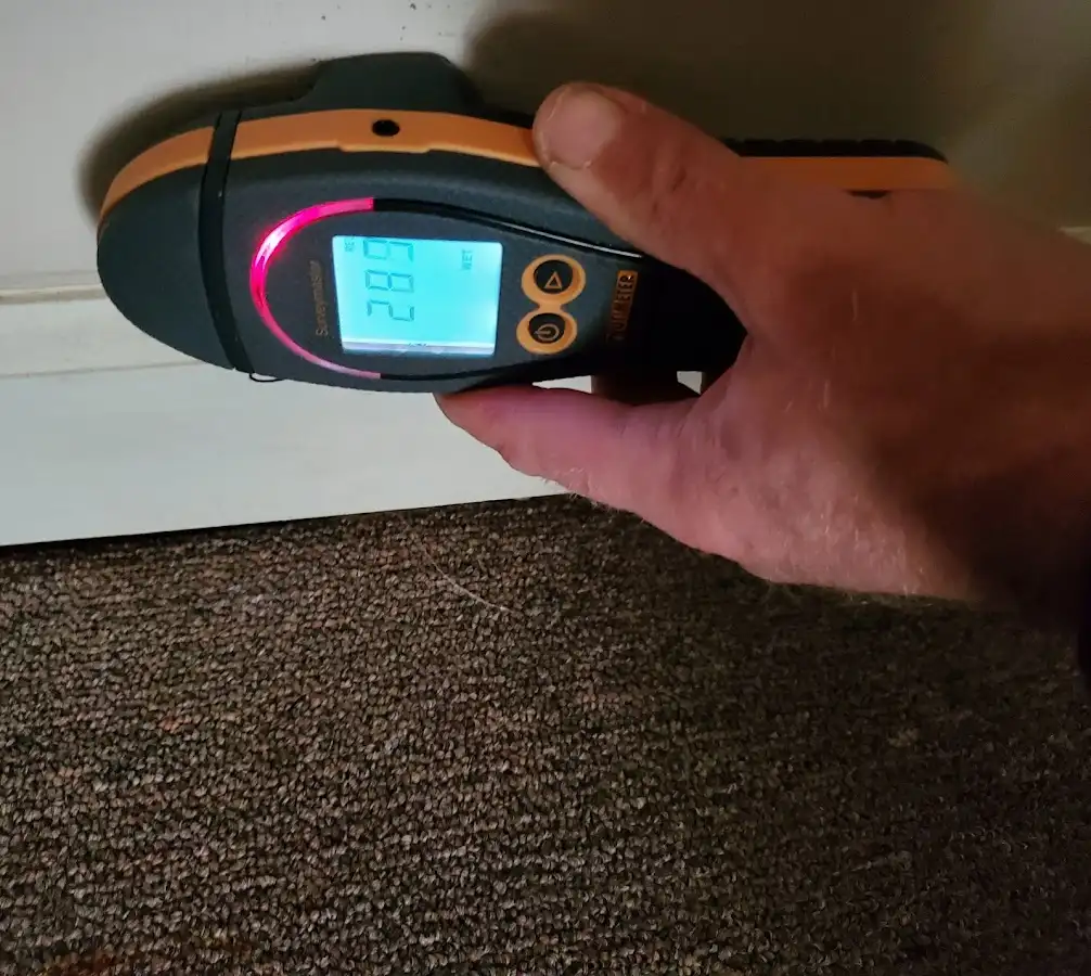 Moisture detection at baseboard during Mold Inspection & Testing in Ellenton