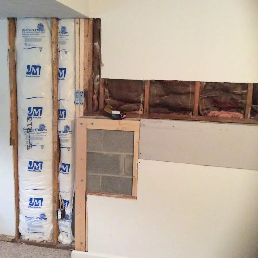 Wall insulation replacement during Odor Removal & Deodorization in Ellenton